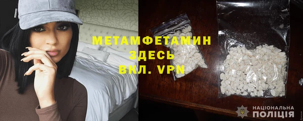 прущие крисы Горняк