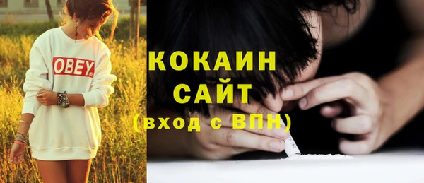 прущие крисы Горняк