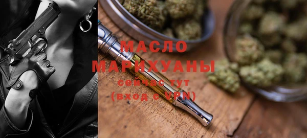 прущие крисы Горняк