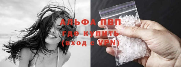 прущие крисы Горняк