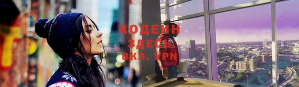 прущие крисы Горняк