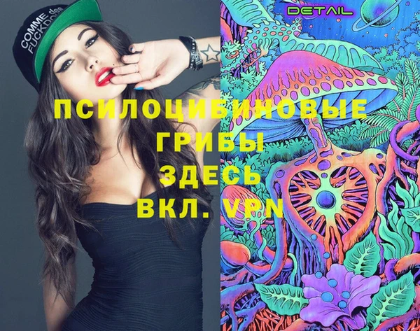 дмт Горнозаводск