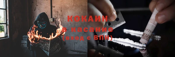 прущие крисы Горняк