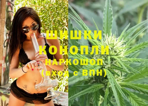 дмт Горнозаводск
