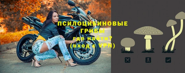 дмт Горнозаводск