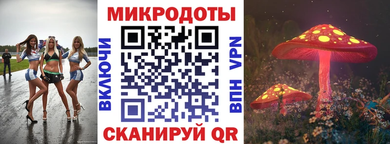Купить закладки  Лодейное Поле  Псилоцибиновые грибы GOLDEN TEACHER 